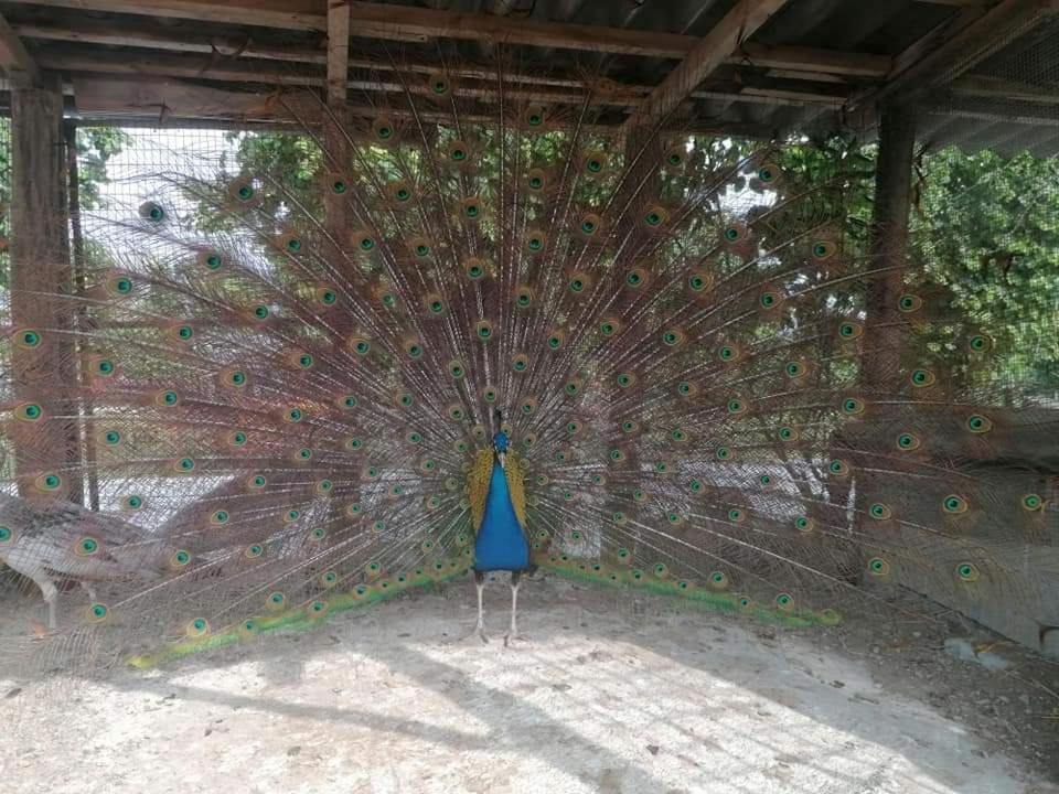 La Ruota Bauernhof